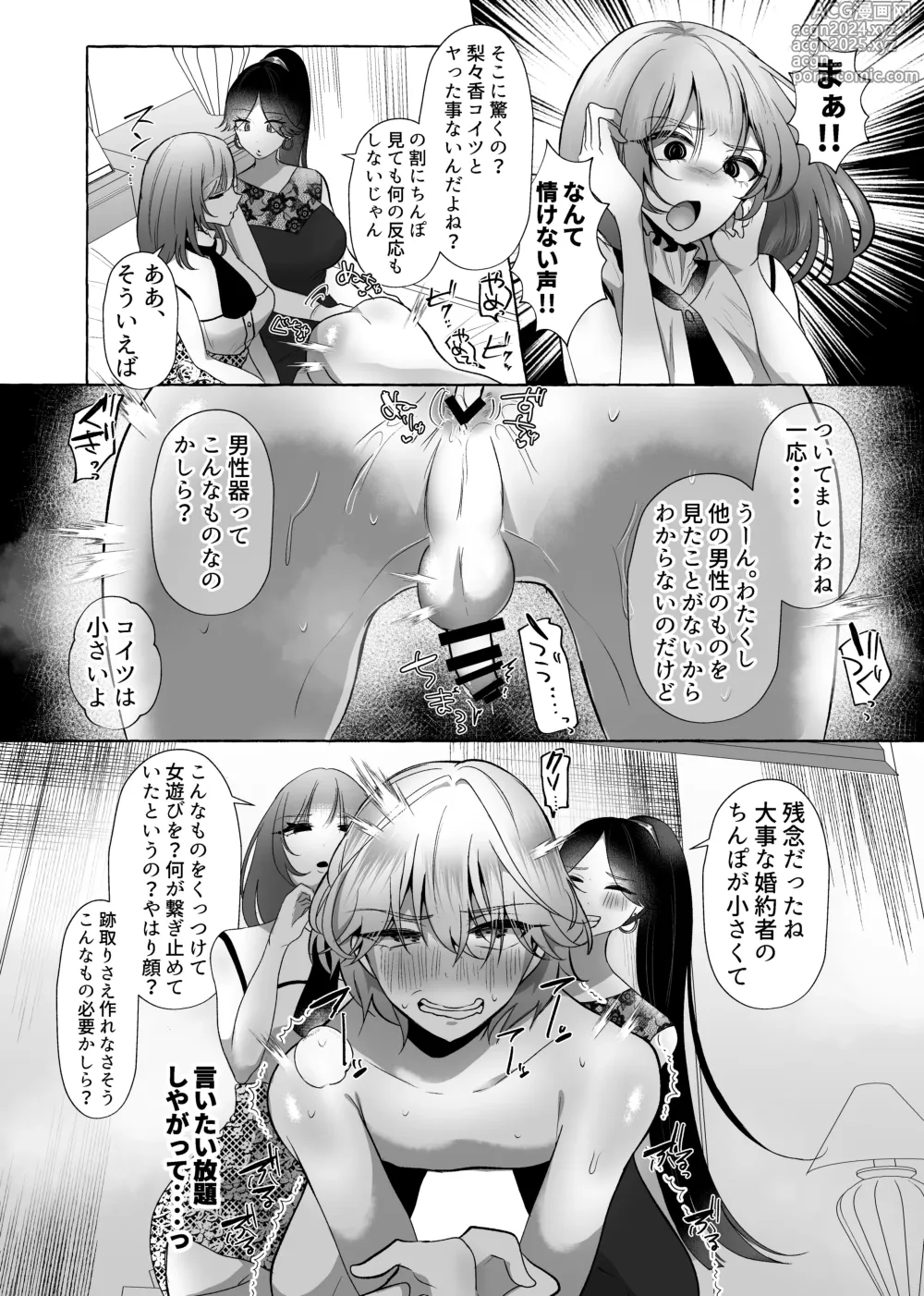 Page 13 of doujinshi はるか100%♀ 御曹司強制女装メス豚化