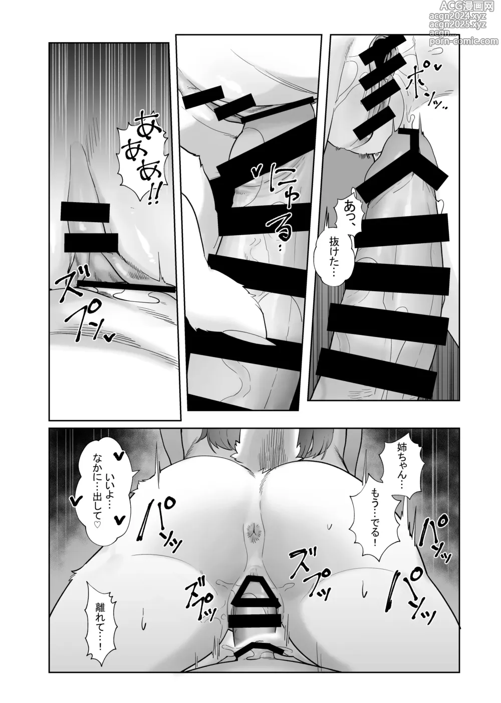 Page 158 of doujinshi Kemo Nee-san 12