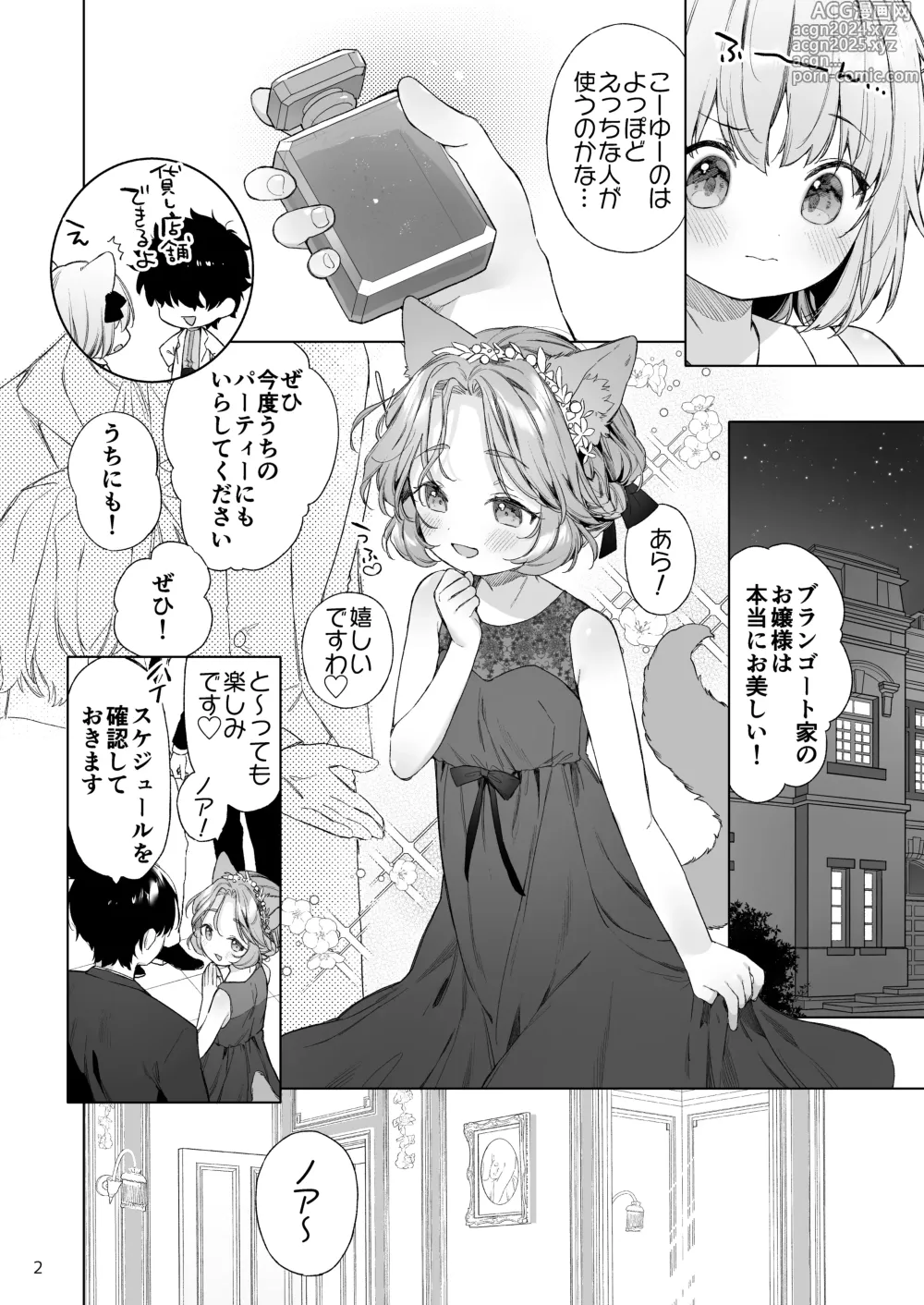 Page 3 of doujinshi Isekai Otona no Omochaya-san 2