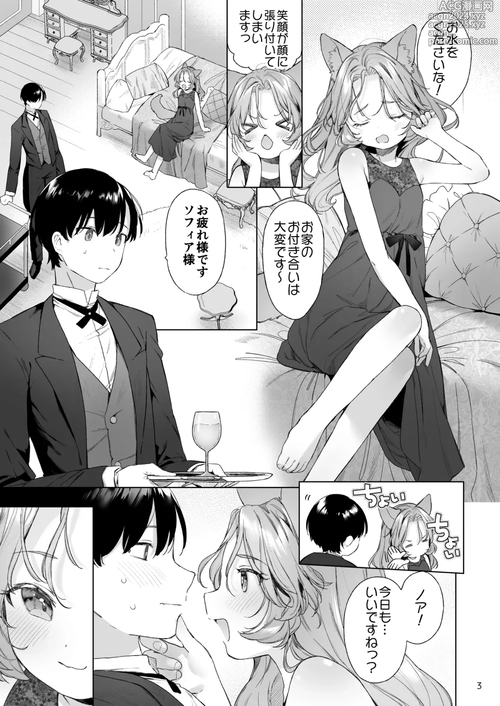 Page 4 of doujinshi Isekai Otona no Omochaya-san 2