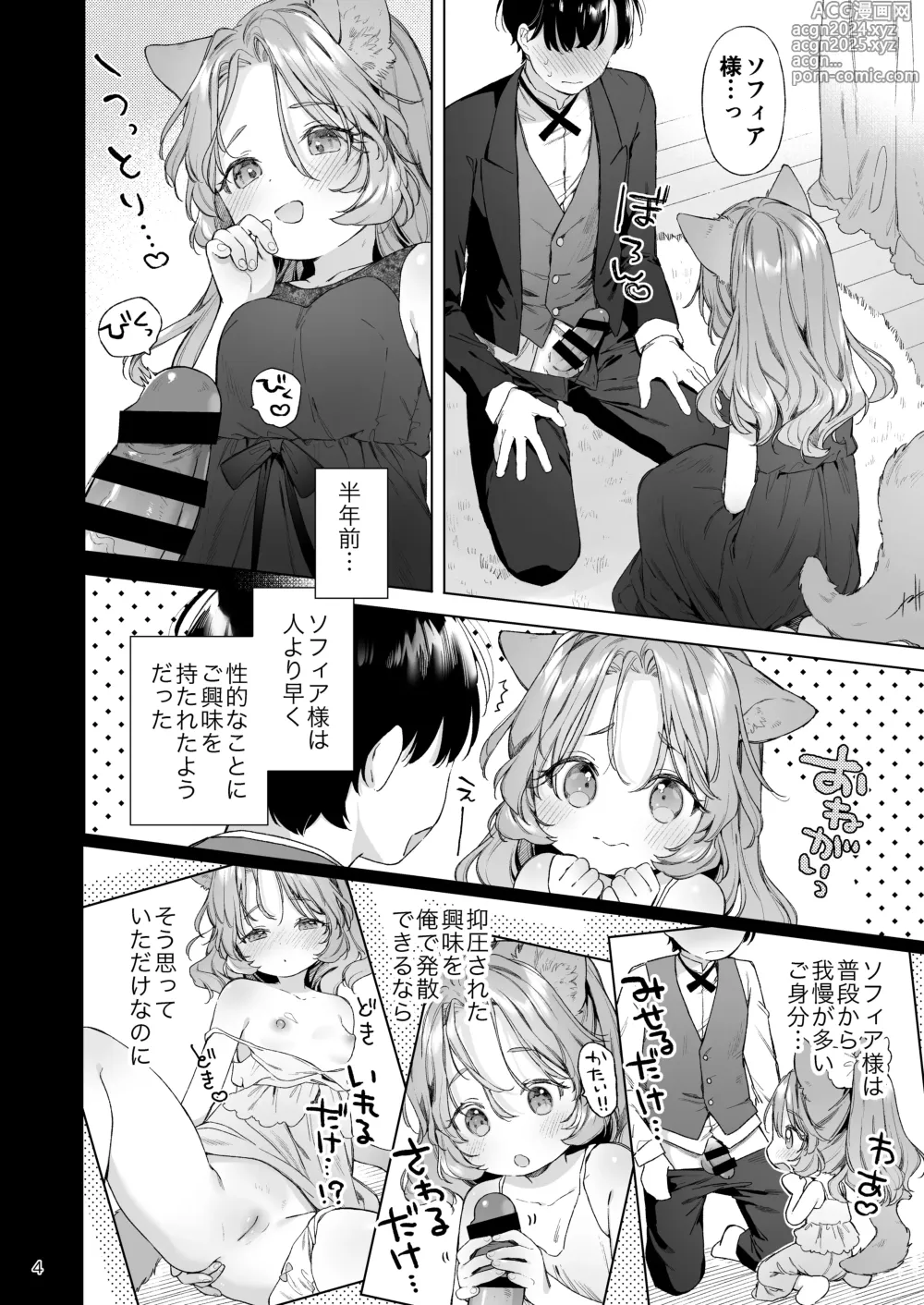 Page 5 of doujinshi Isekai Otona no Omochaya-san 2