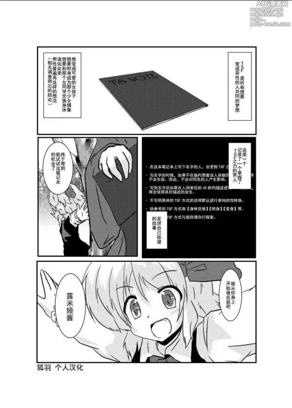 Page 4 of doujinshi 東方TS物語 ~露米娅編~