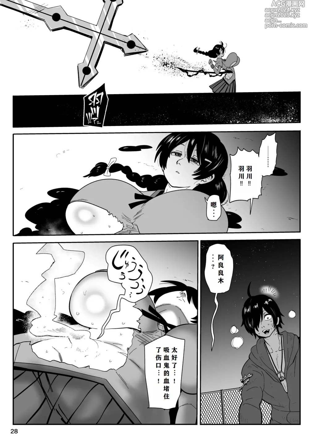 Page 27 of doujinshi Hame kawa Tsubasa