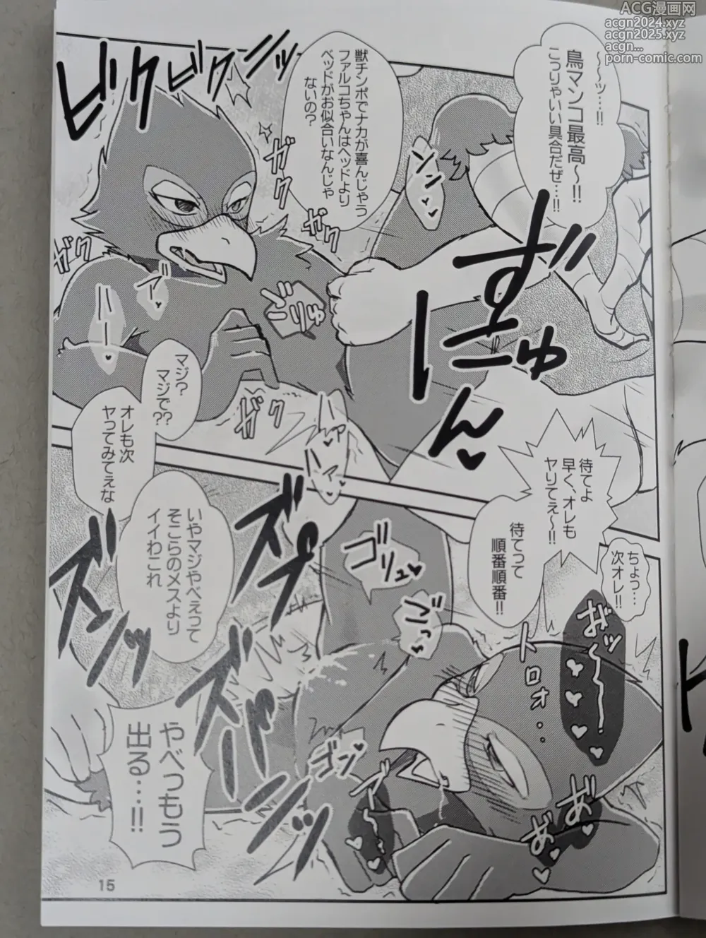 Page 14 of doujinshi Starfox - Falco Osukemo Karakuri