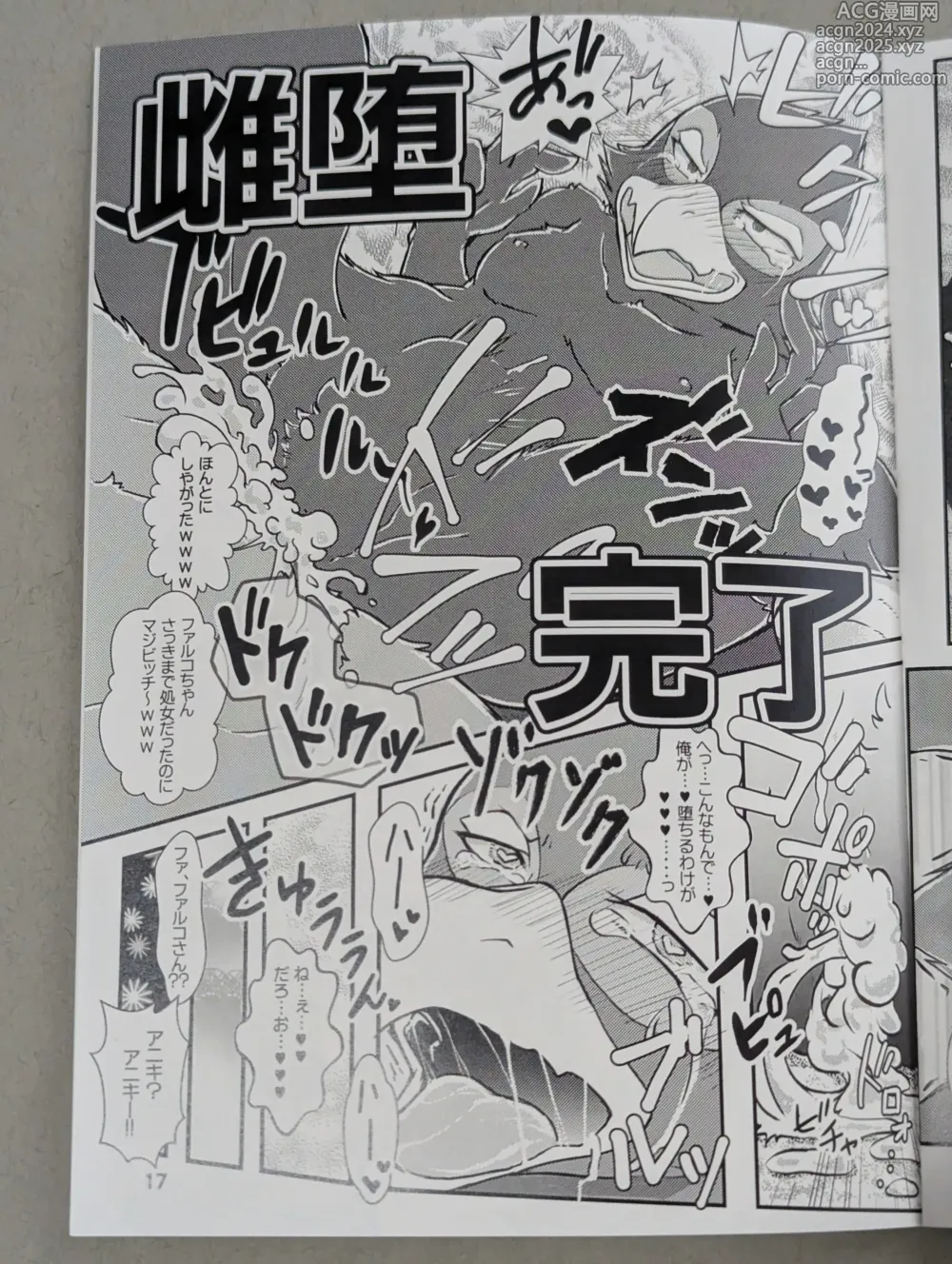 Page 16 of doujinshi Starfox - Falco Osukemo Karakuri