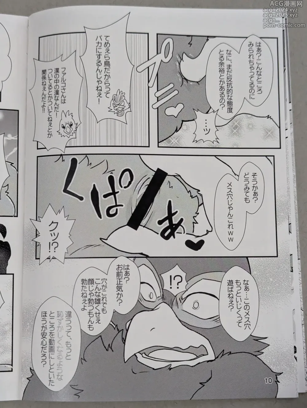 Page 9 of doujinshi Starfox - Falco Osukemo Karakuri