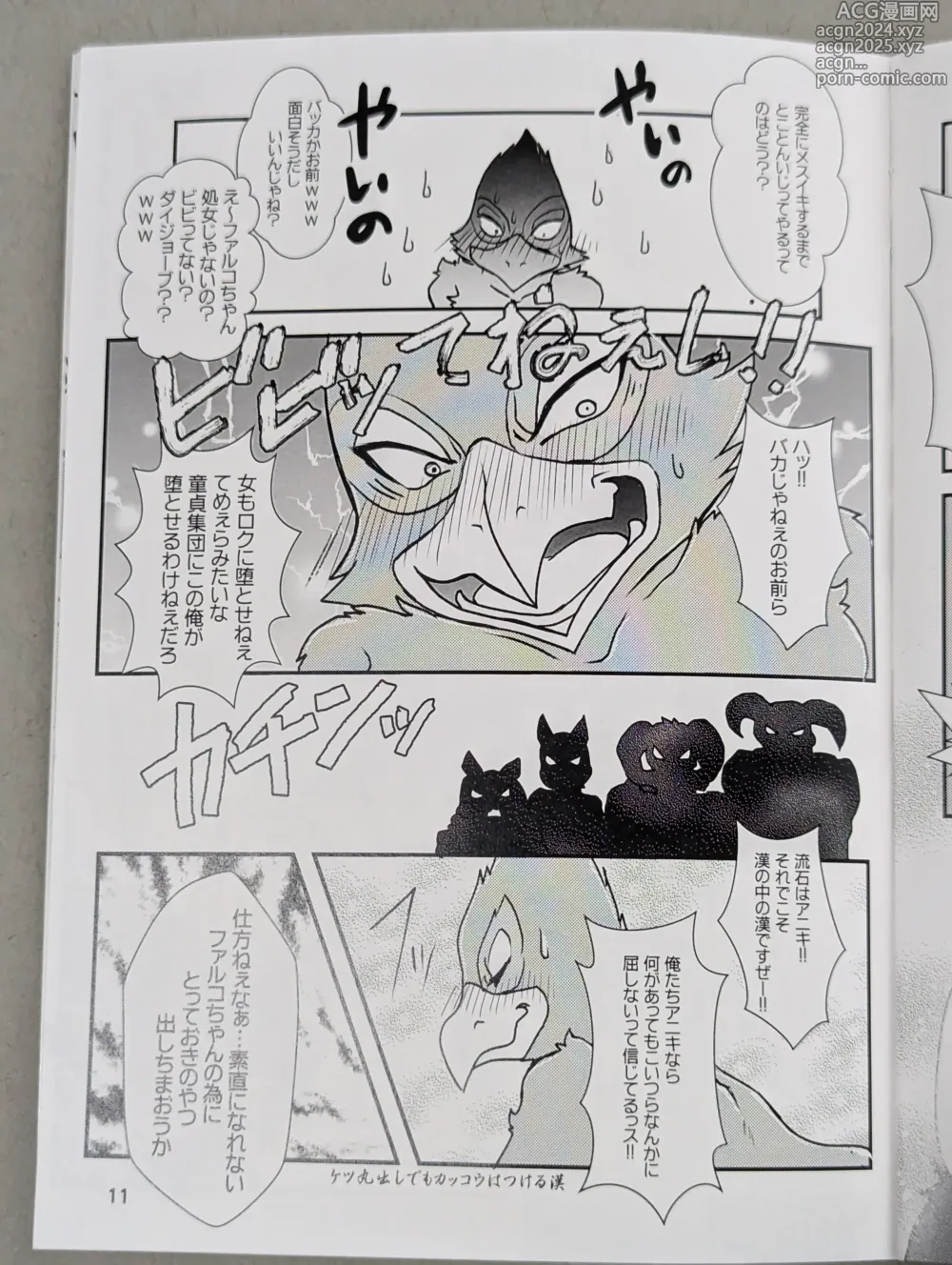 Page 10 of doujinshi Starfox - Falco Osukemo Karakuri