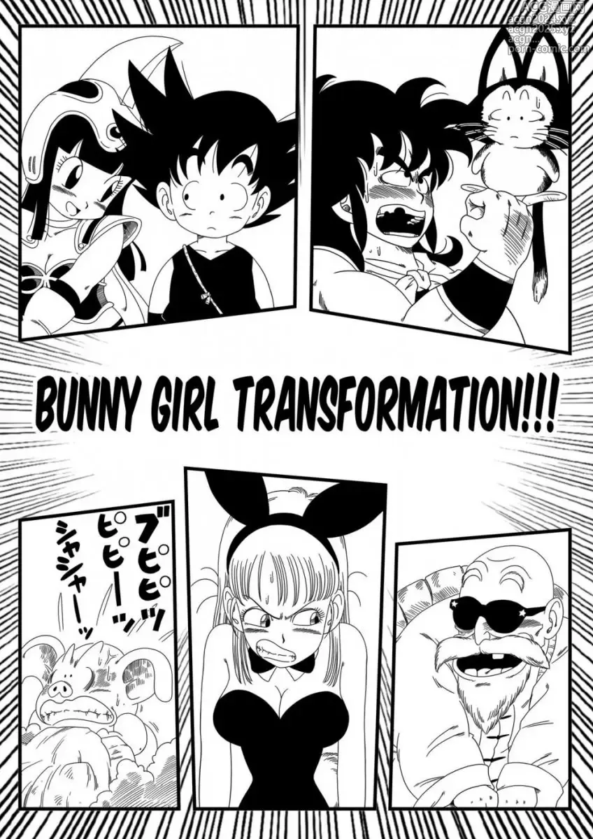 Page 27 of doujinshi Dragon ball yamamoto