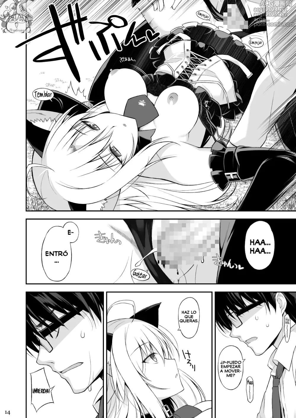 Page 13 of doujinshi Una Gata y su Sirviente I