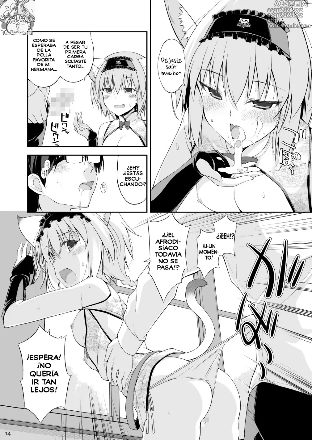 Page 13 of doujinshi Una Gata y su Sirviente II