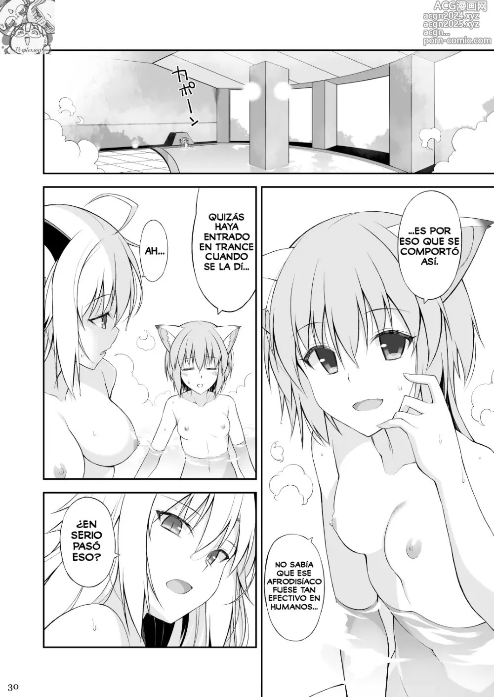 Page 29 of doujinshi Una Gata y su Sirviente II