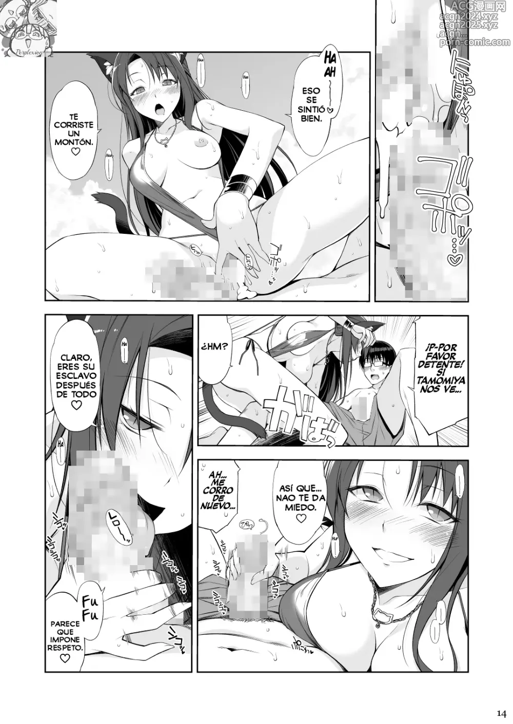 Page 13 of doujinshi Una Gata y su Sirviente III