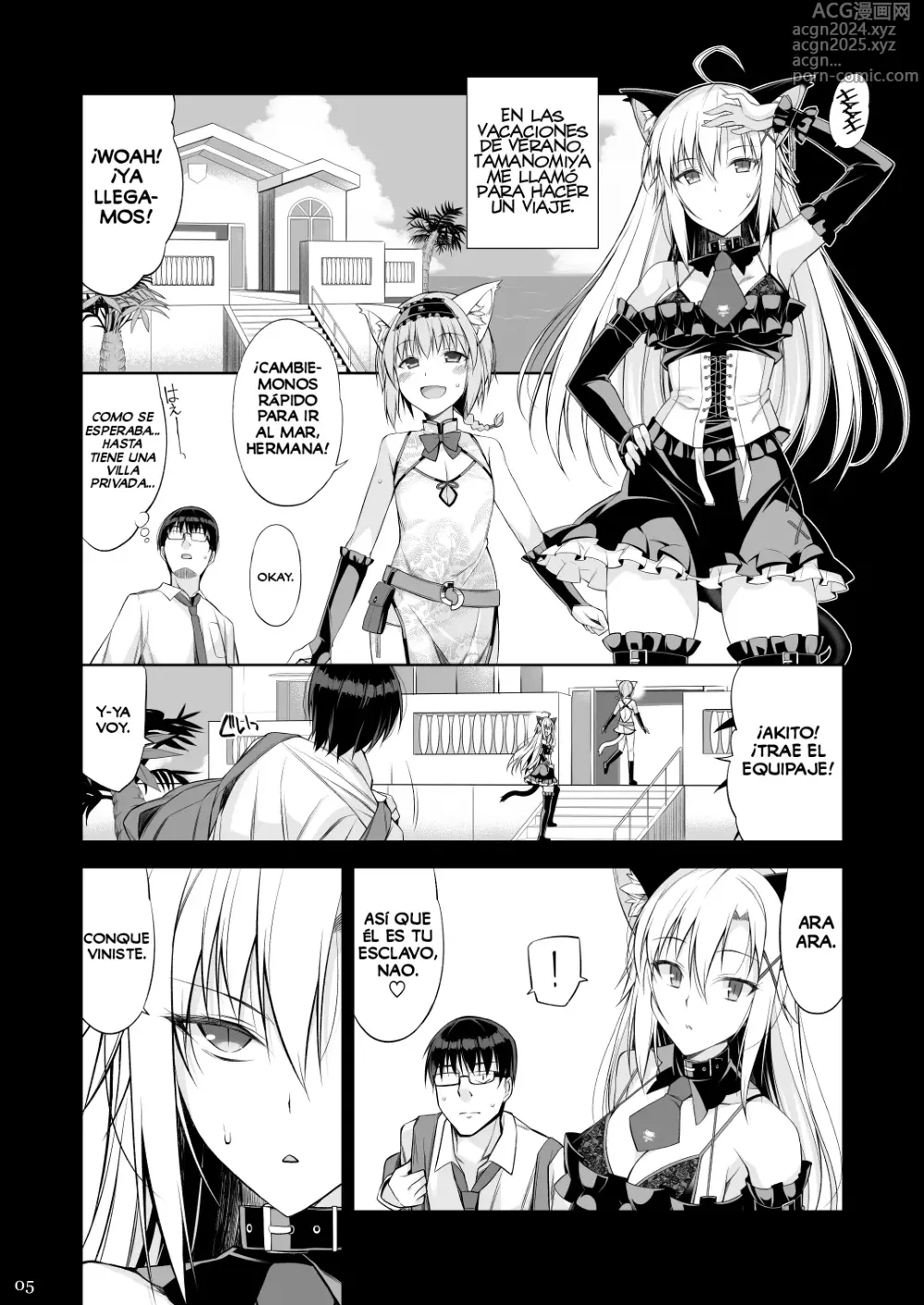 Page 4 of doujinshi Una Gata y su Sirviente III