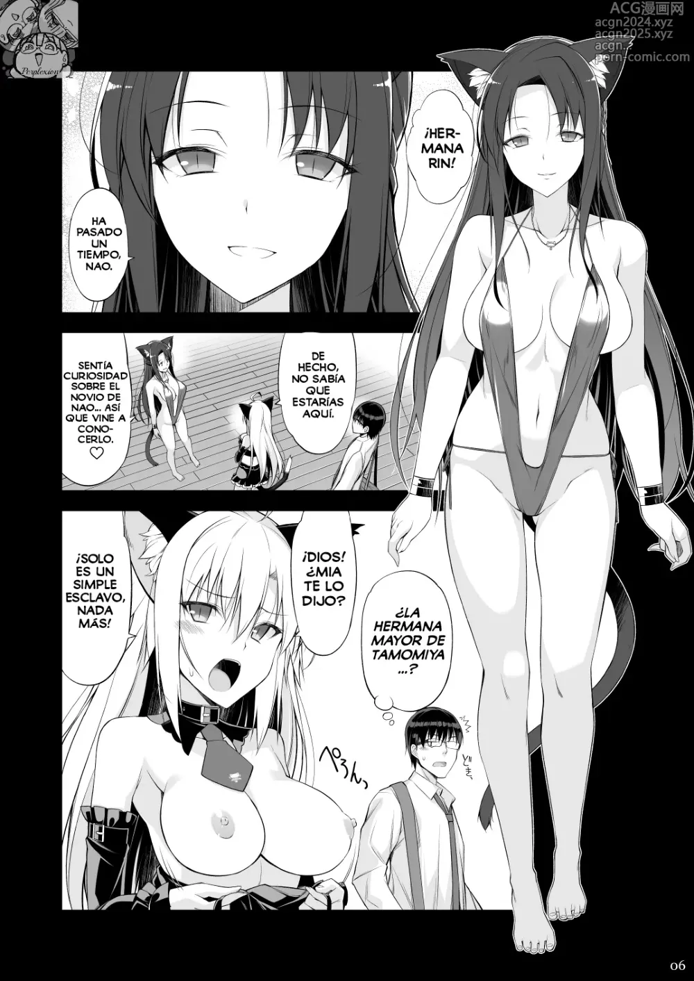 Page 5 of doujinshi Una Gata y su Sirviente III