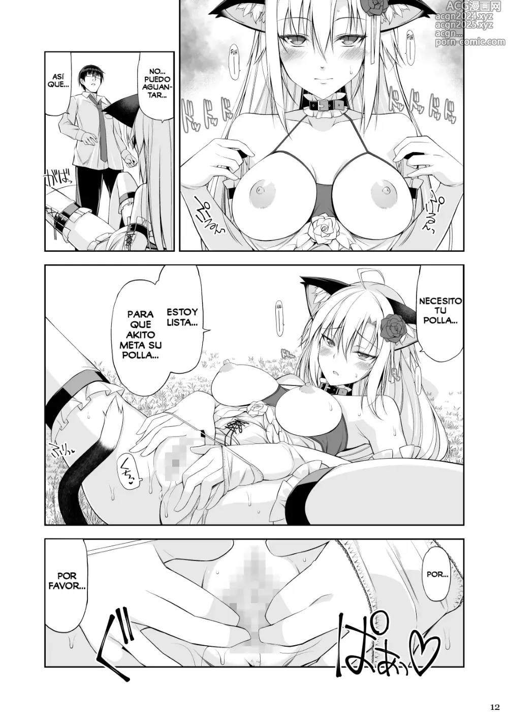 Page 11 of doujinshi Una Gata y su Sirviente IV