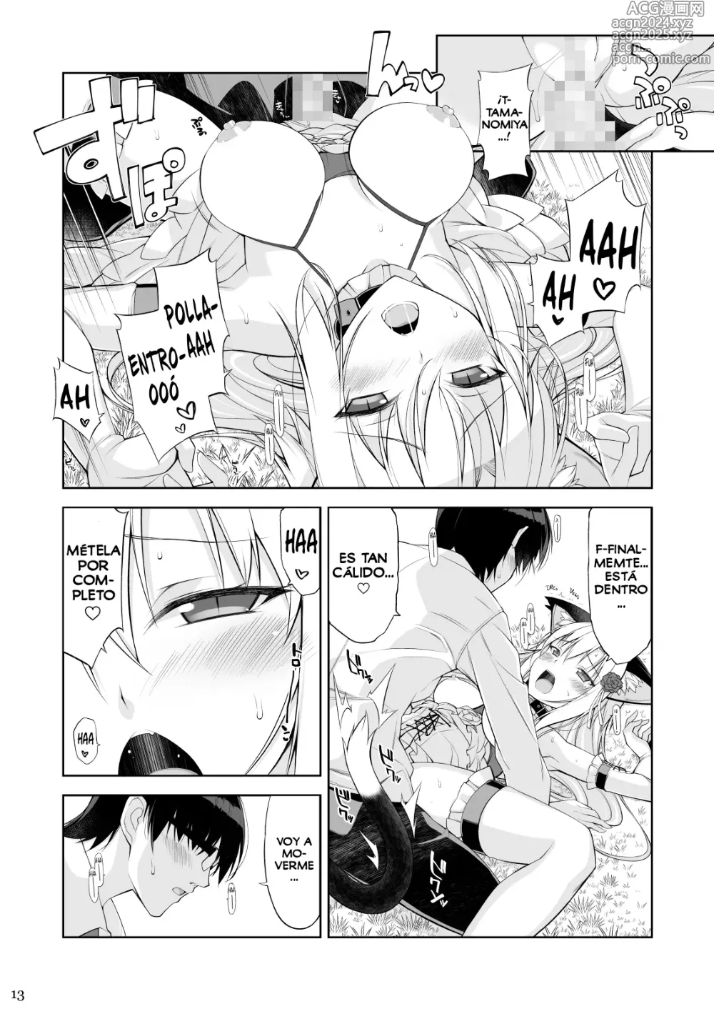 Page 12 of doujinshi Una Gata y su Sirviente IV