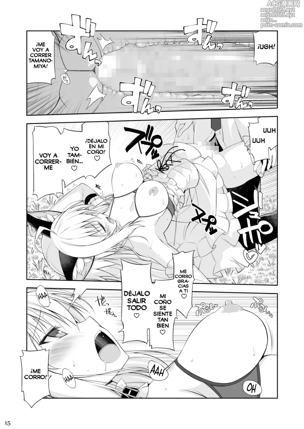 Page 14 of doujinshi Una Gata y su Sirviente IV