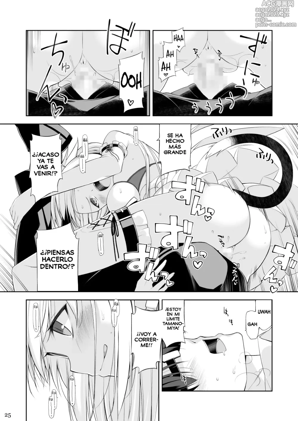 Page 24 of doujinshi Una Gata y su Sirviente IV