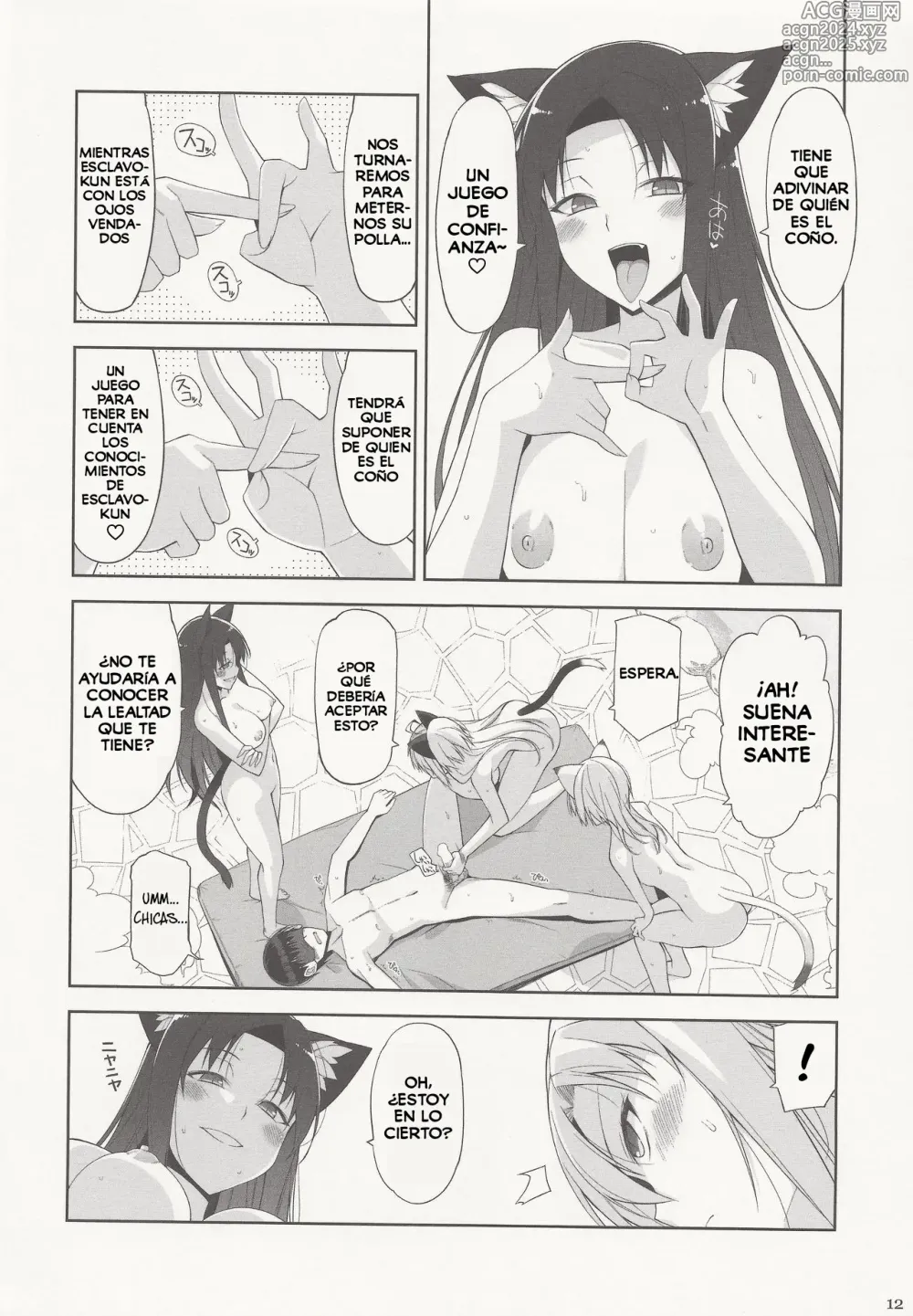 Page 11 of doujinshi Una Gata y su Sirviente V