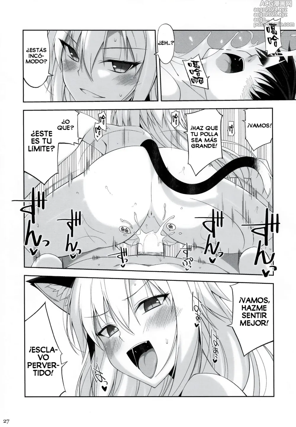 Page 26 of doujinshi Una Gata y su Sirviente V