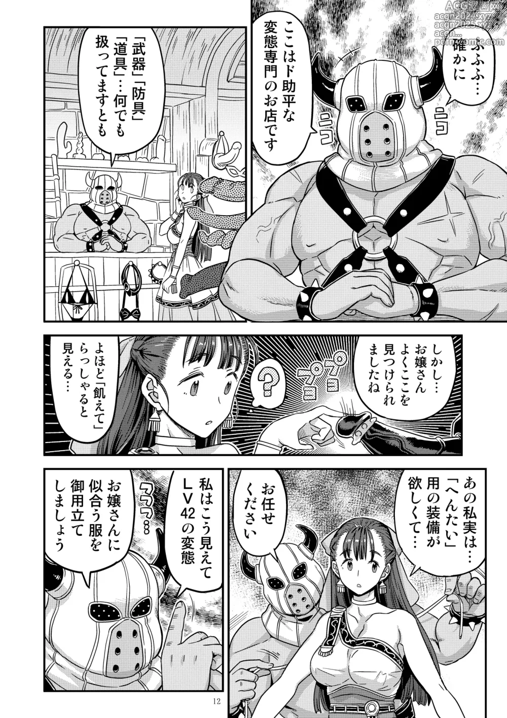 Page 12 of doujinshi Dragon Quest XXX