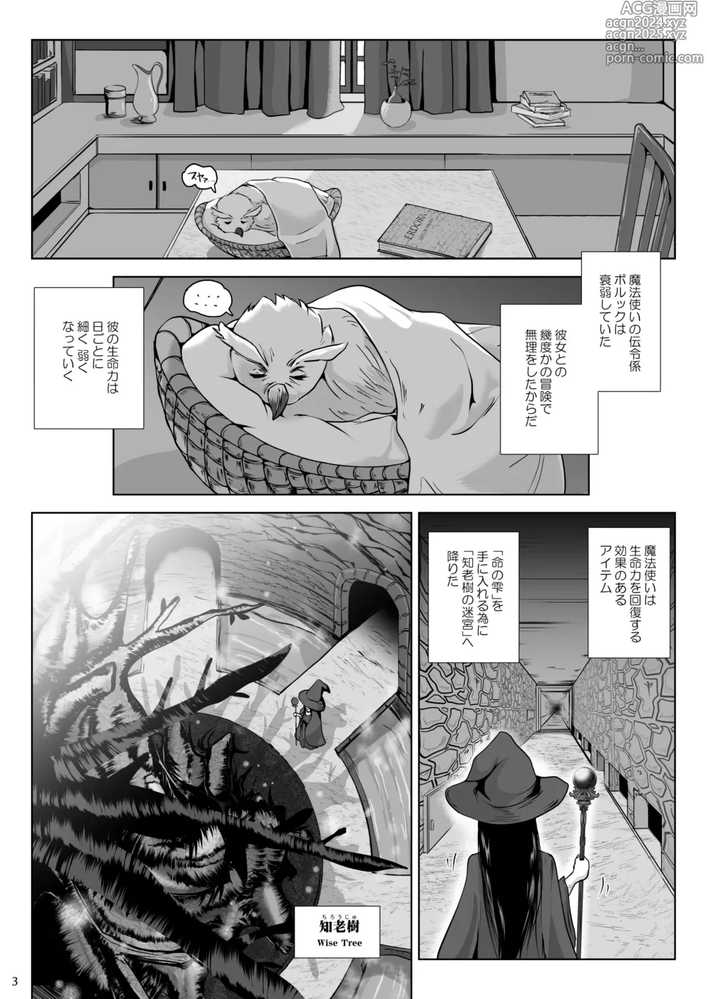 Page 3 of doujinshi Chikubi Mushi Chirouju to Inochi no Shizuku - The Dungeon of Wise