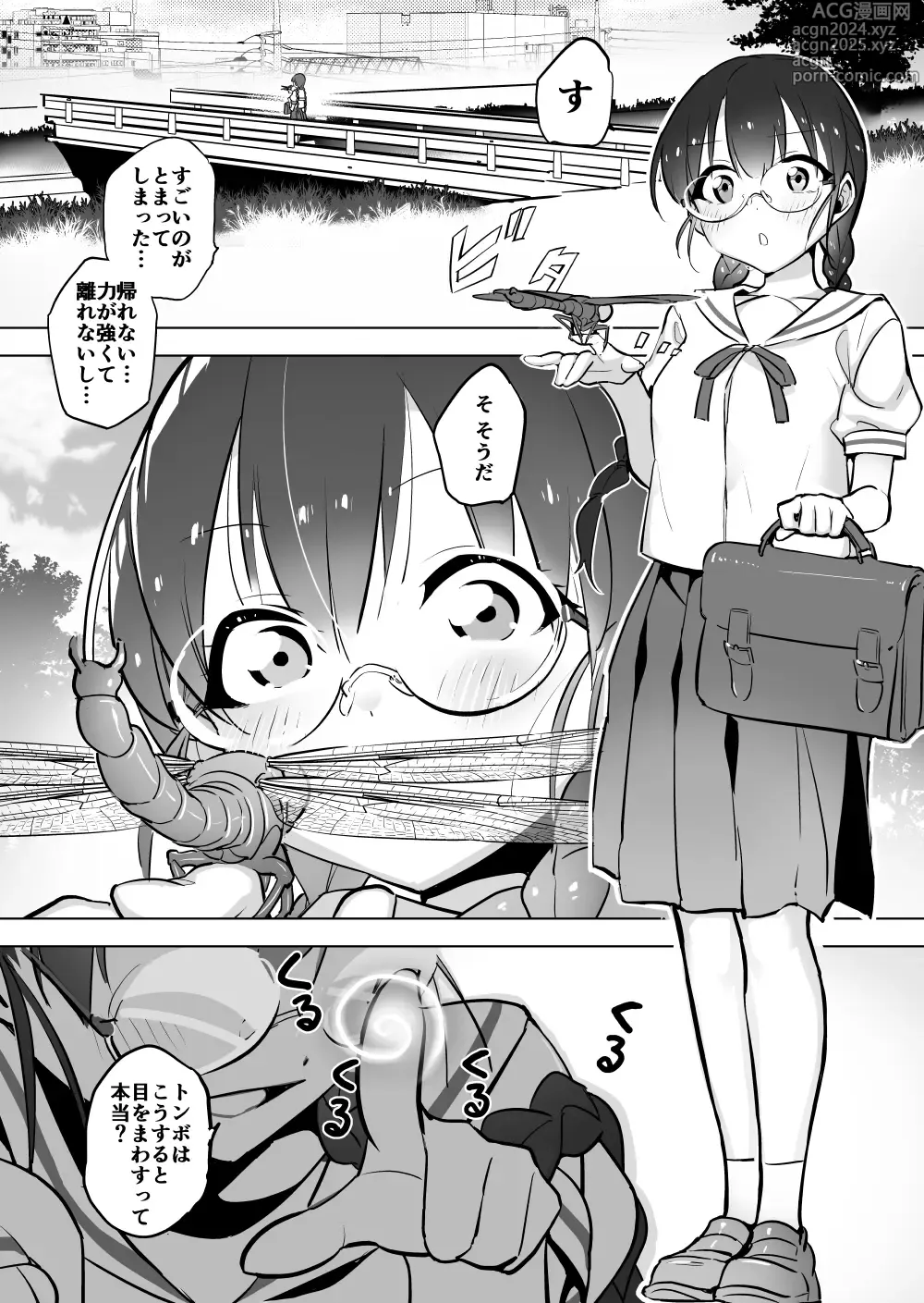 Page 2 of doujinshi Tonbo to kasenjiki to mittsuami joshi