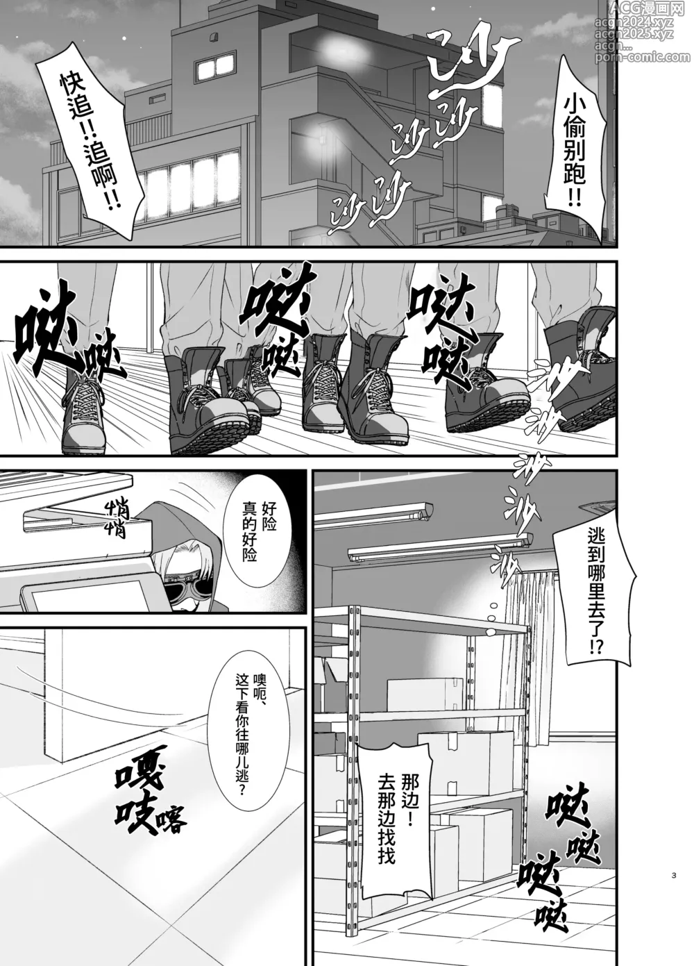 Page 3 of doujinshi 采花怪盗偷心贼 (decensored)