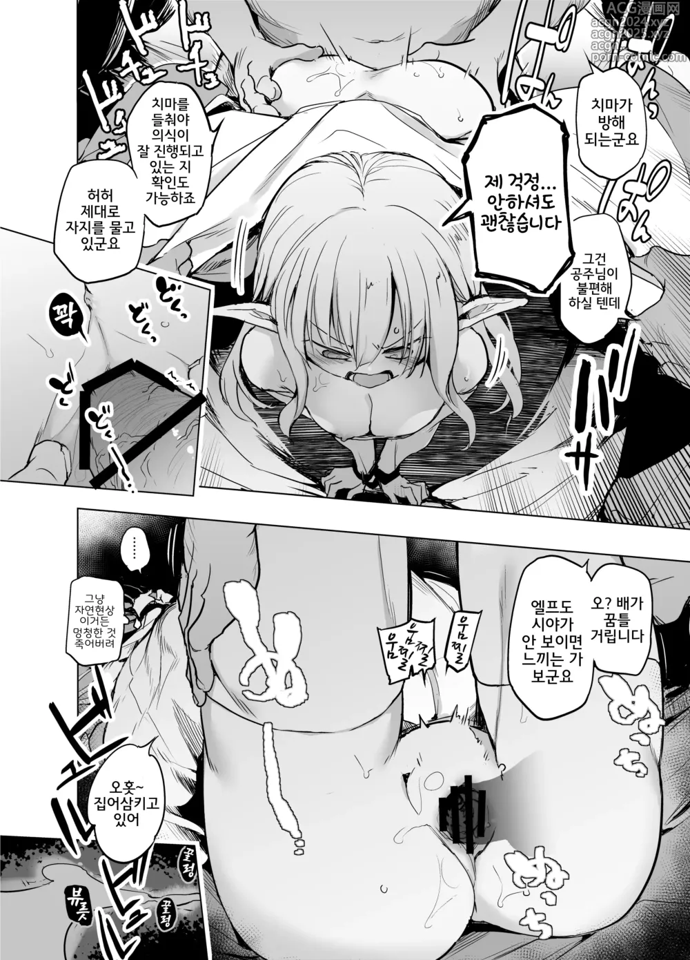 Page 13 of doujinshi 엘프 공주의 긍지를 걸고서 견디겠습니다!