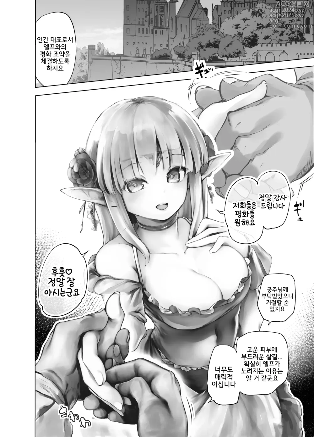 Page 3 of doujinshi 엘프 공주의 긍지를 걸고서 견디겠습니다!