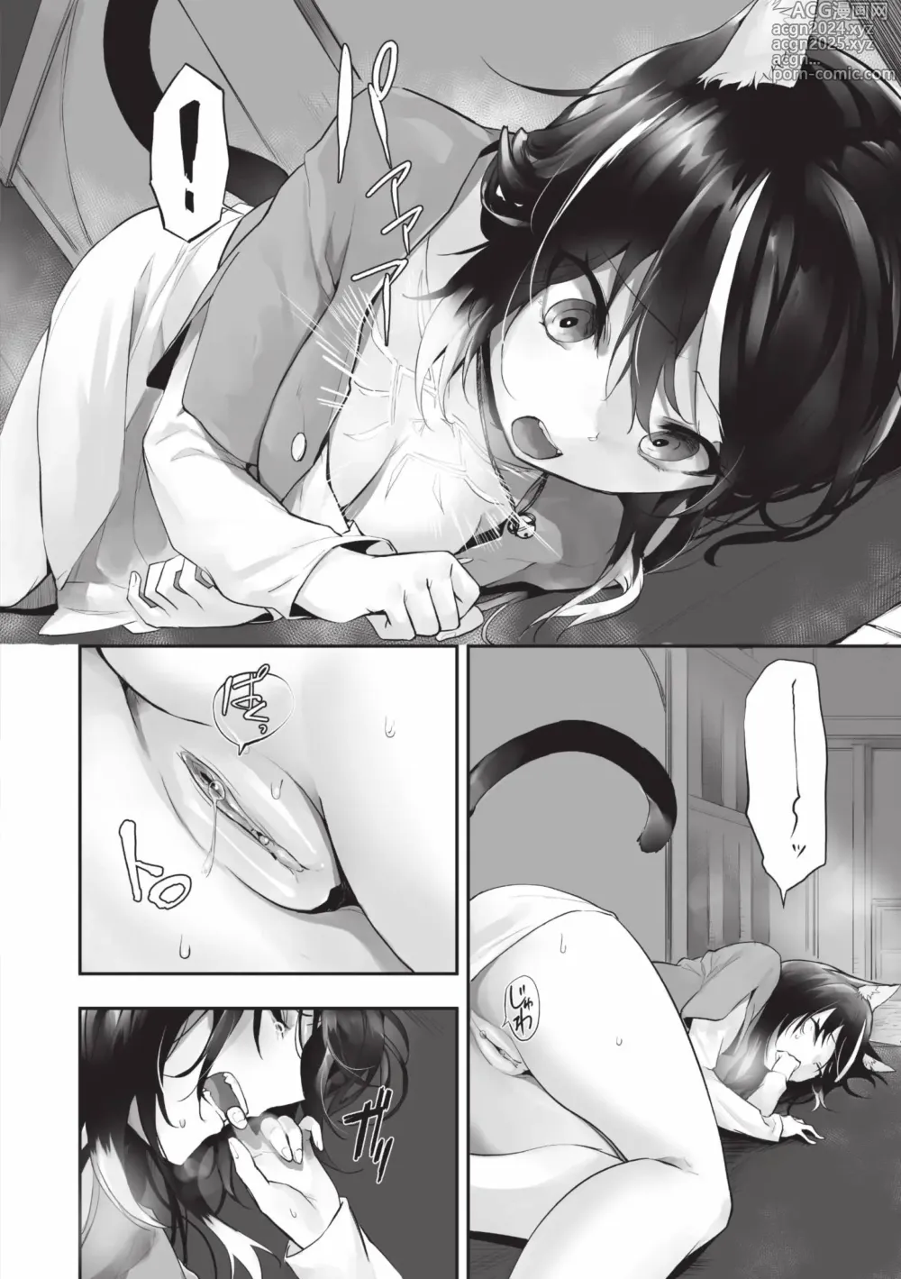 Page 107 of manga 獸耳的麗可莉絲2 (decensored)