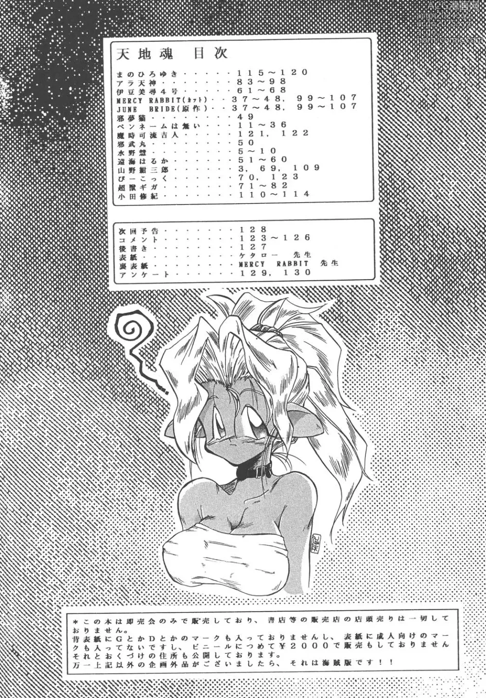 Page 4 of doujinshi Tenchi Damashii