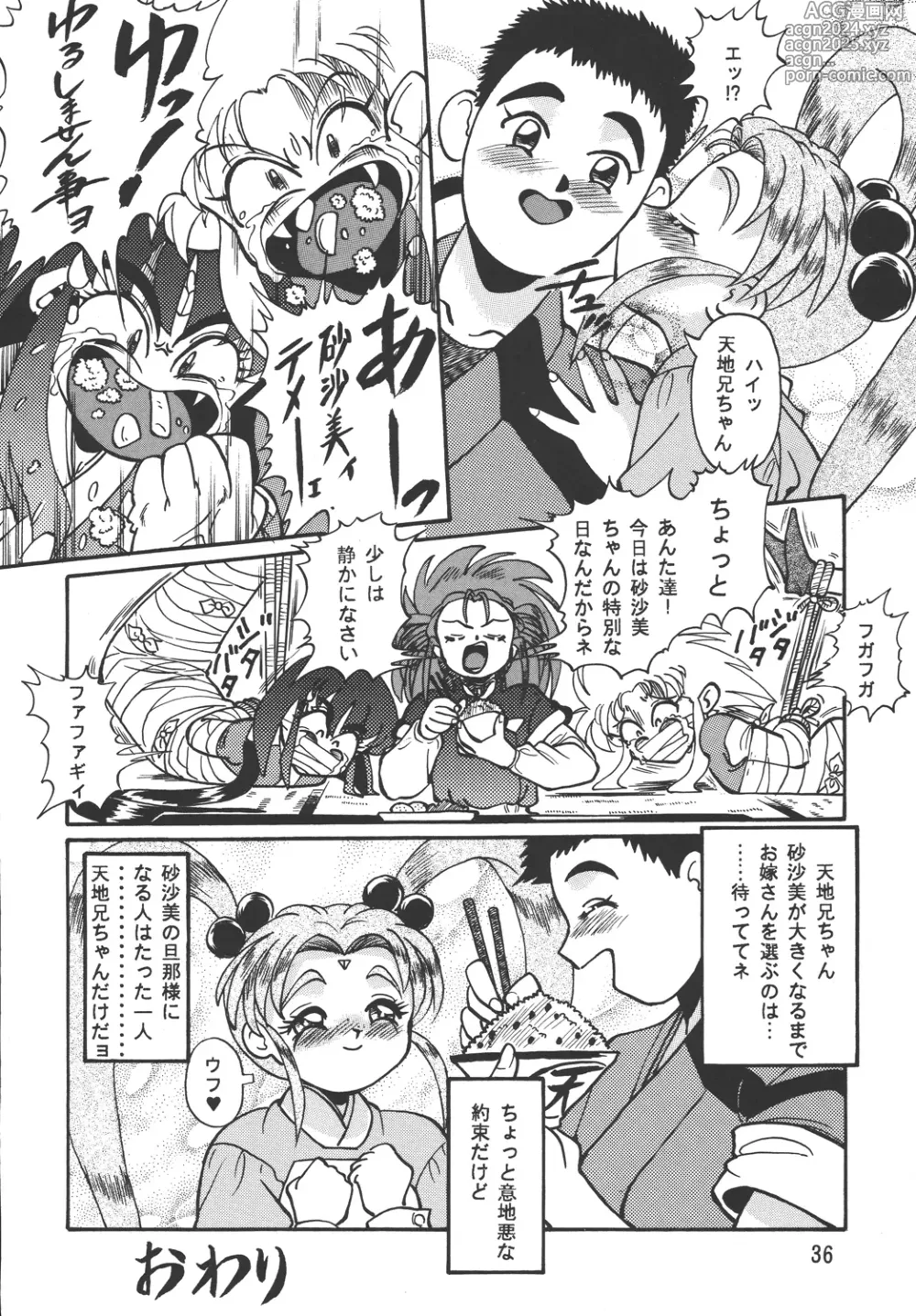 Page 36 of doujinshi Tenchi Damashii