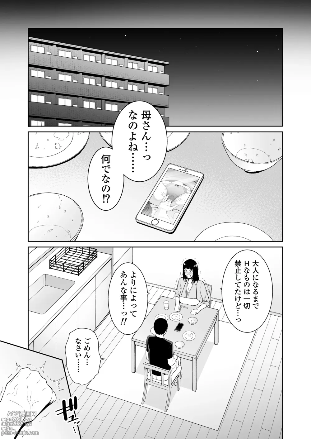 Page 8 of doujinshi Musuko ni Matagaru Hi ~Haha to Musuko no Hamedori Kiroku~