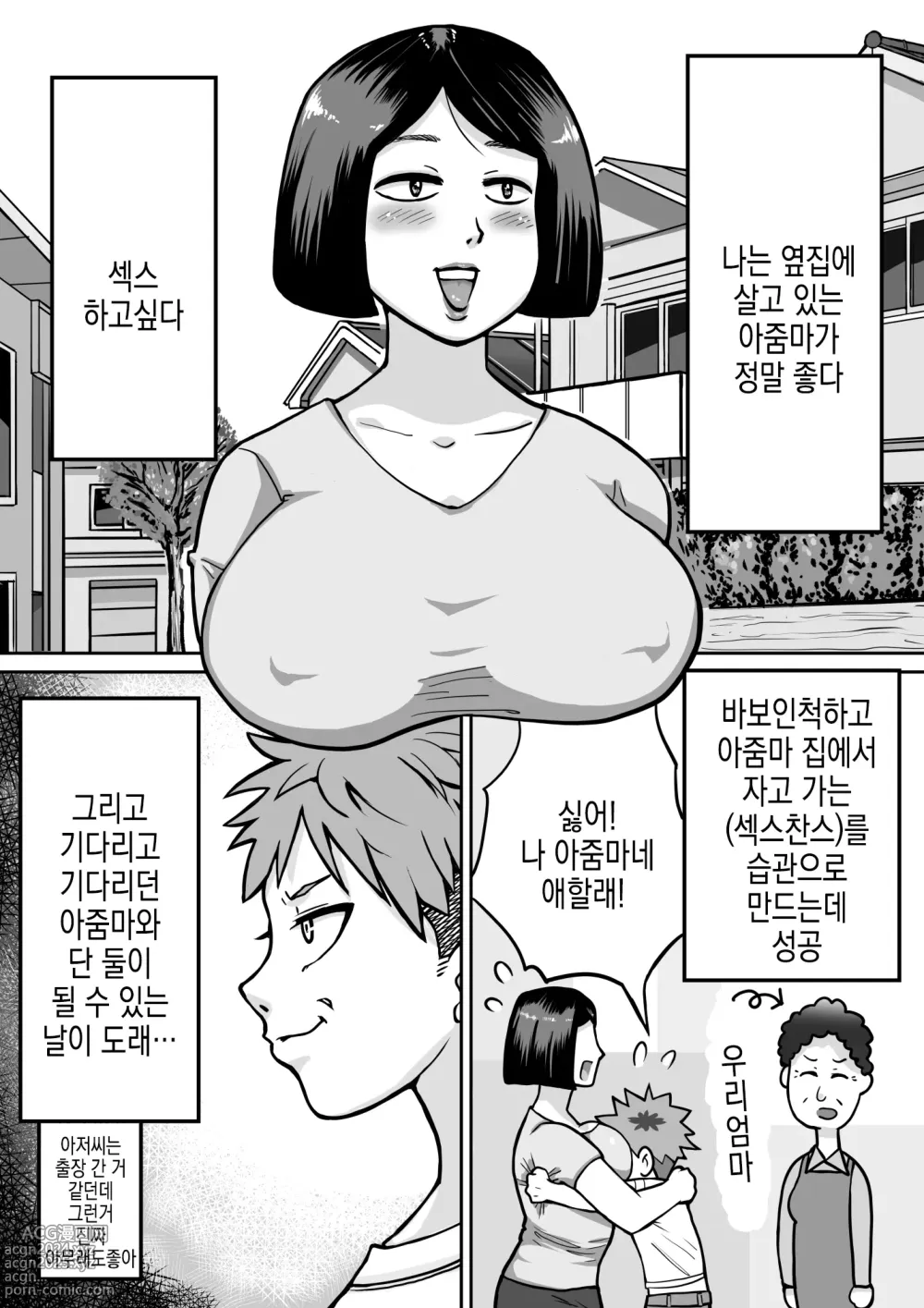 Page 4 of doujinshi 내가 정말 좋아하는 아줌마