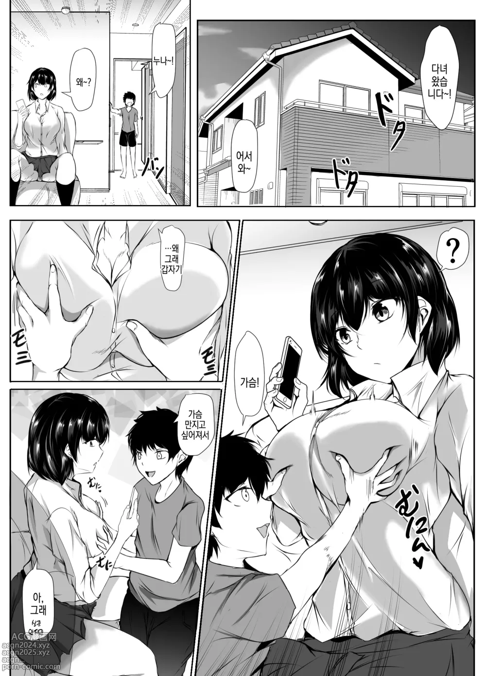 Page 3 of doujinshi 동생의 야한 장난에 너무나도 자비로운 무기력한 누나