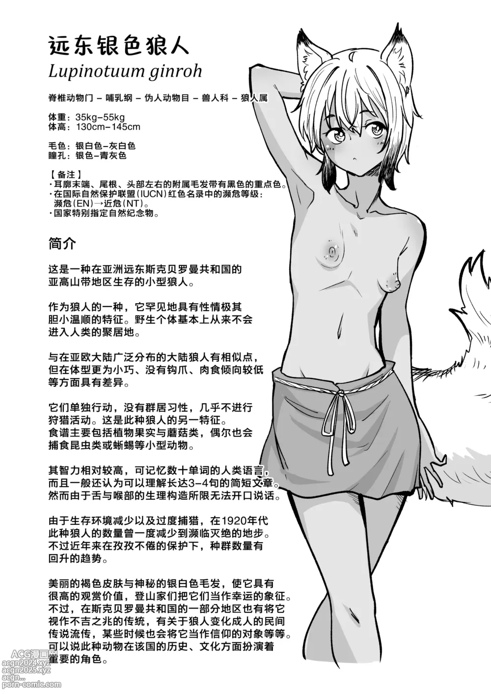 Page 2 of doujinshi 图解 远东银色小狼狼的饲养方法 操作手册 发情期的护理篇