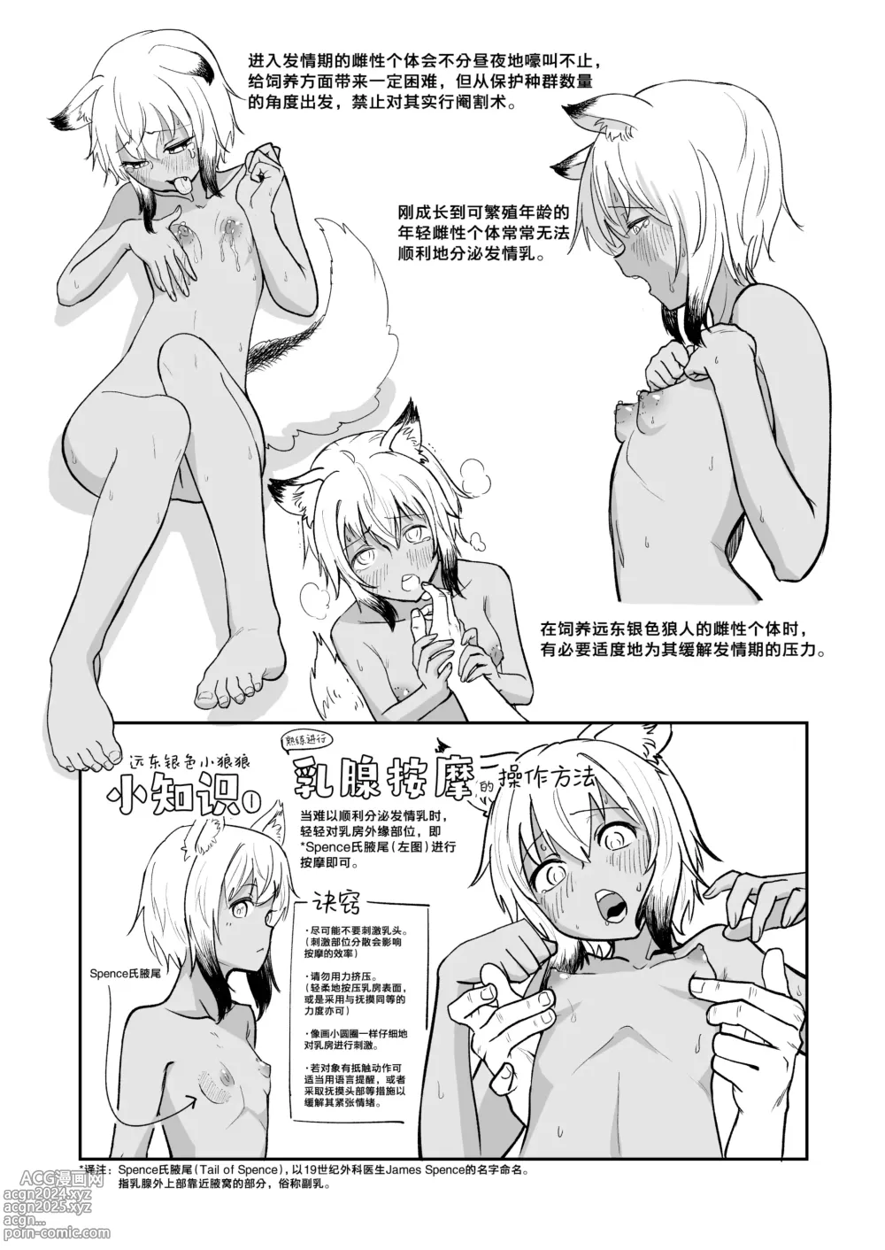 Page 5 of doujinshi 图解 远东银色小狼狼的饲养方法 操作手册 发情期的护理篇