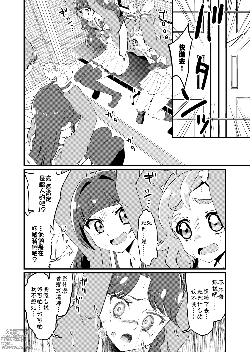 Page 3 of doujinshi Princess Precure Execution