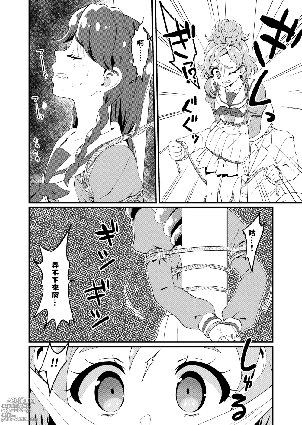 Page 5 of doujinshi Princess Precure Execution