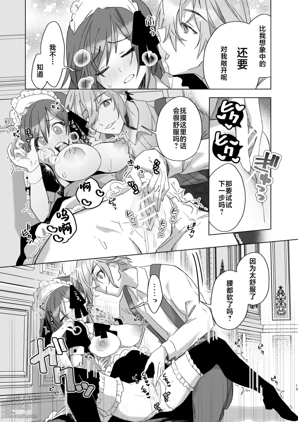 Page 13 of doujinshi 不是主人的话不可以【预备号】