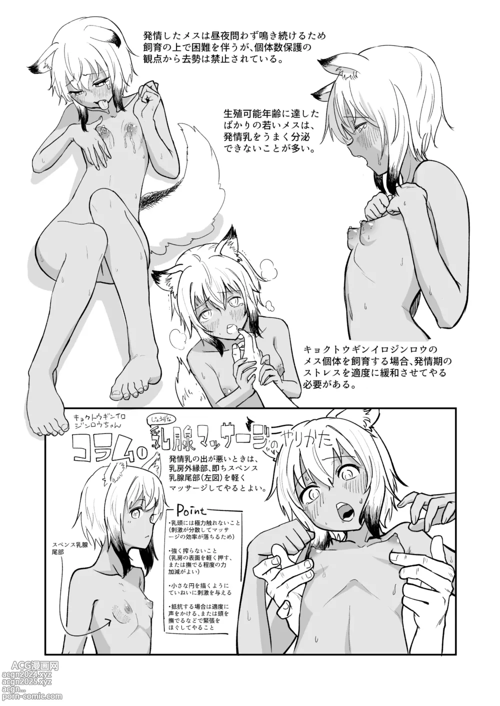 Page 6 of doujinshi Zukai Kyokutou Giniro Jinrou-chan no Kaikata Handbook Hatsujouki no Osewa Hen