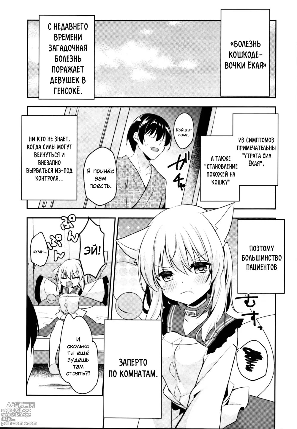 Page 3 of doujinshi Hatsujouki no Nyan Koishi