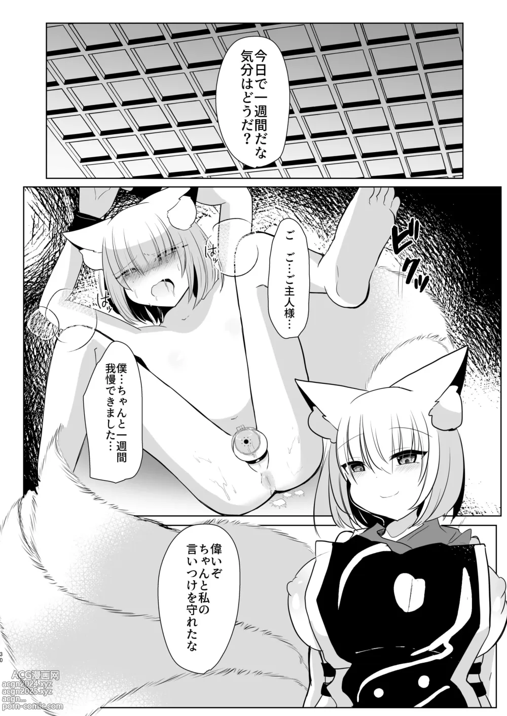 Page 29 of doujinshi Yakumo Ran ni Yoru  Seidorei  Shasei Kanri Choukyou Kogitsune Hen