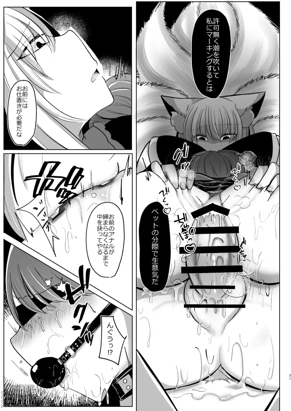 Page 21 of doujinshi Yakumo Ran ga Seishori Pet  to  Tawamureru Hon