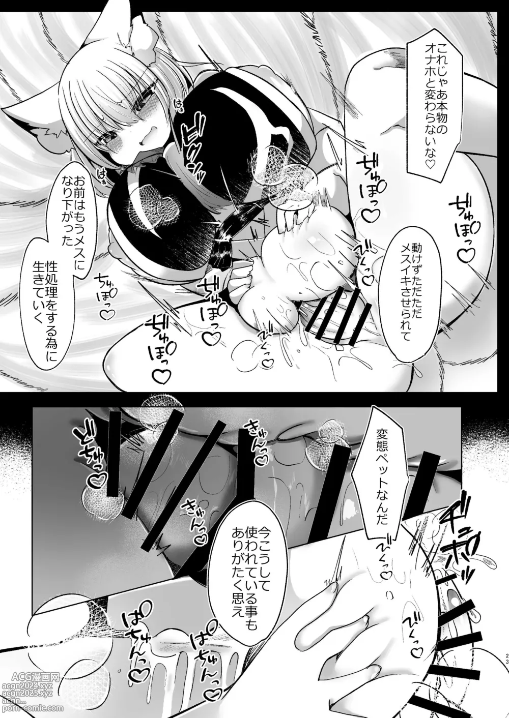 Page 23 of doujinshi Yakumo Ran ga Seishori Pet  to  Tawamureru Hon