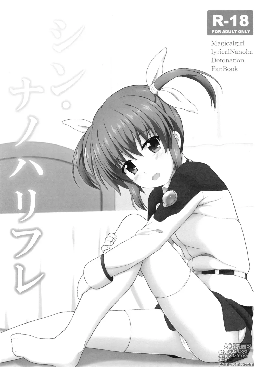 Page 2 of doujinshi Shin Nanoha Refle