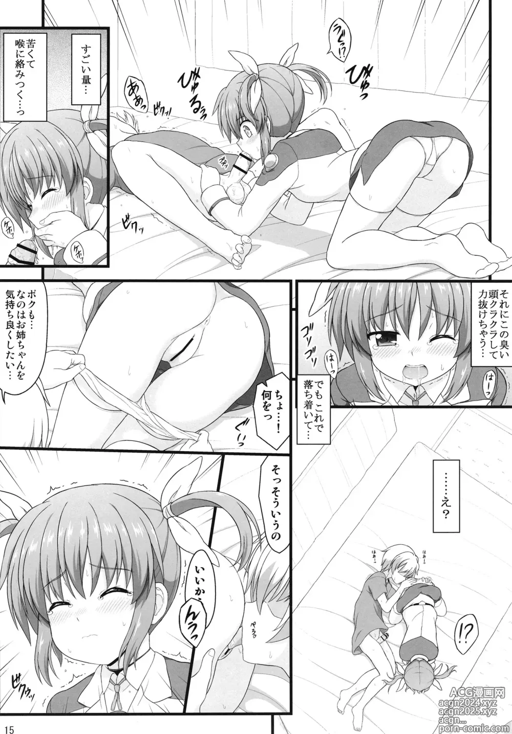 Page 14 of doujinshi Shin Nanoha Refle