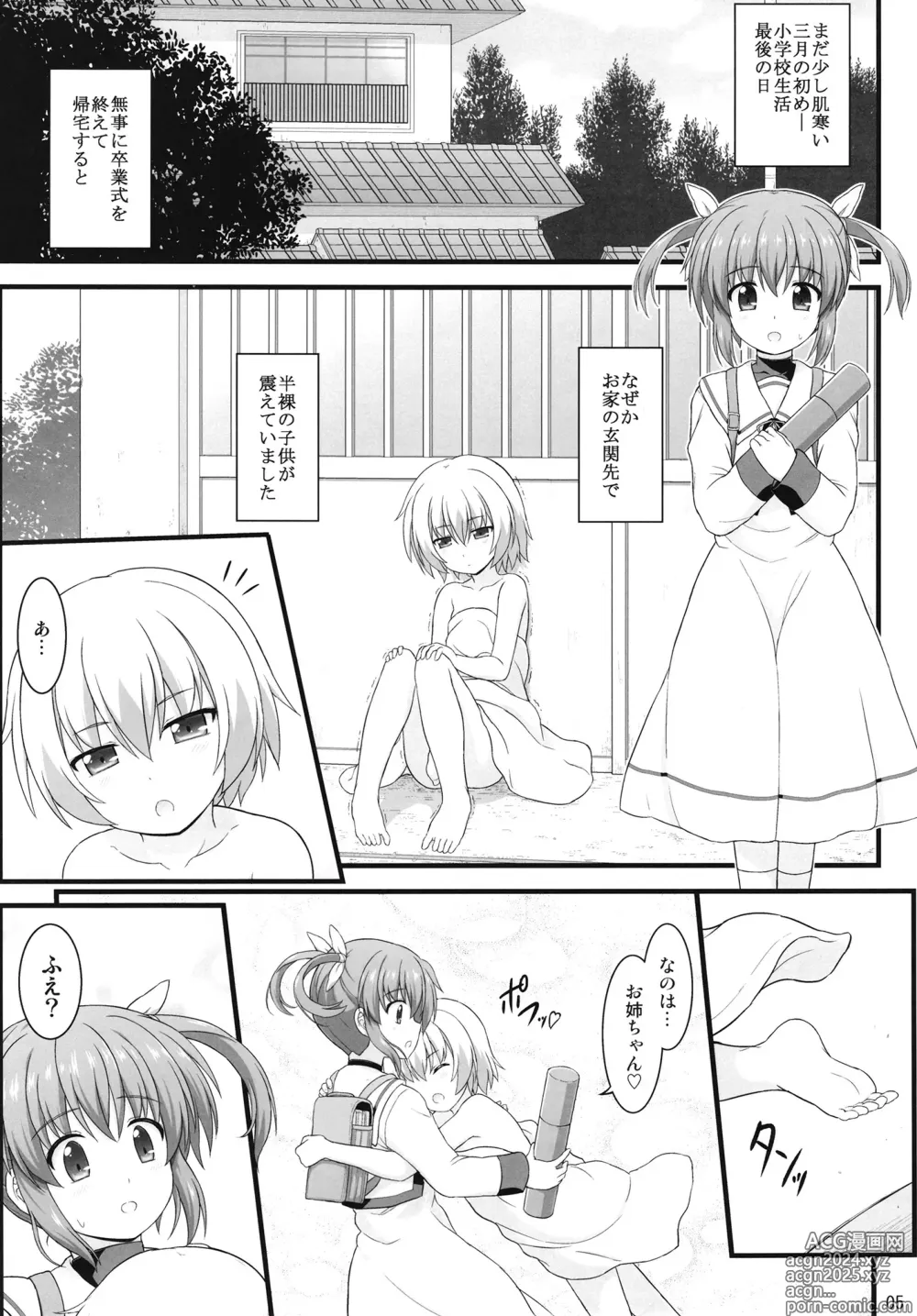 Page 4 of doujinshi Shin Nanoha Refle