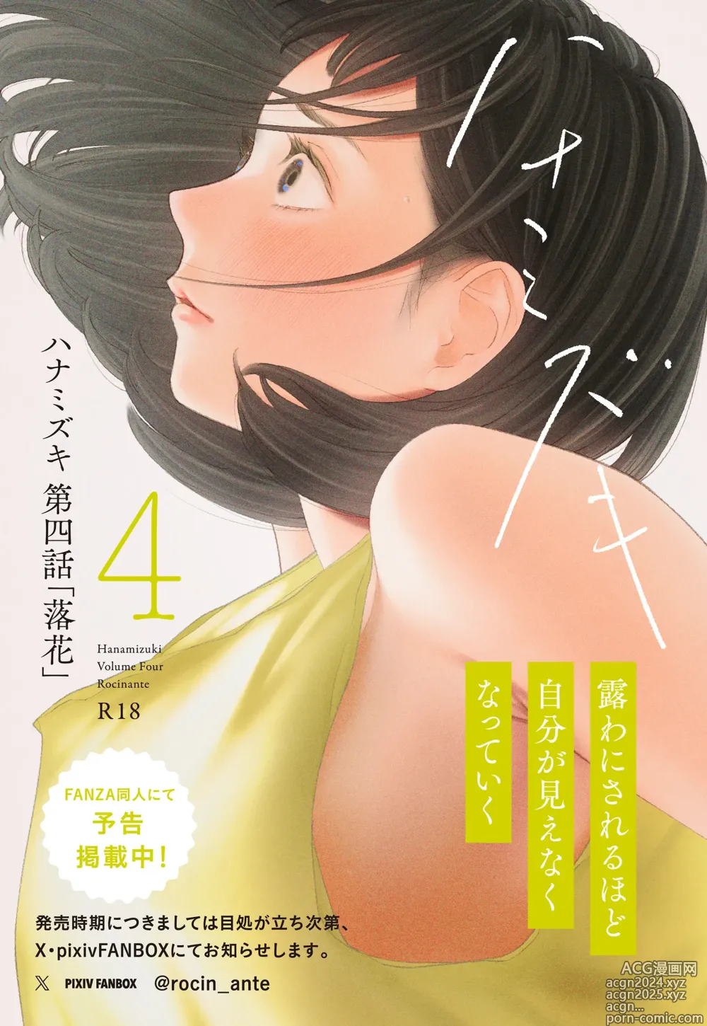 Page 88 of doujinshi Hanamizuki Vol.3